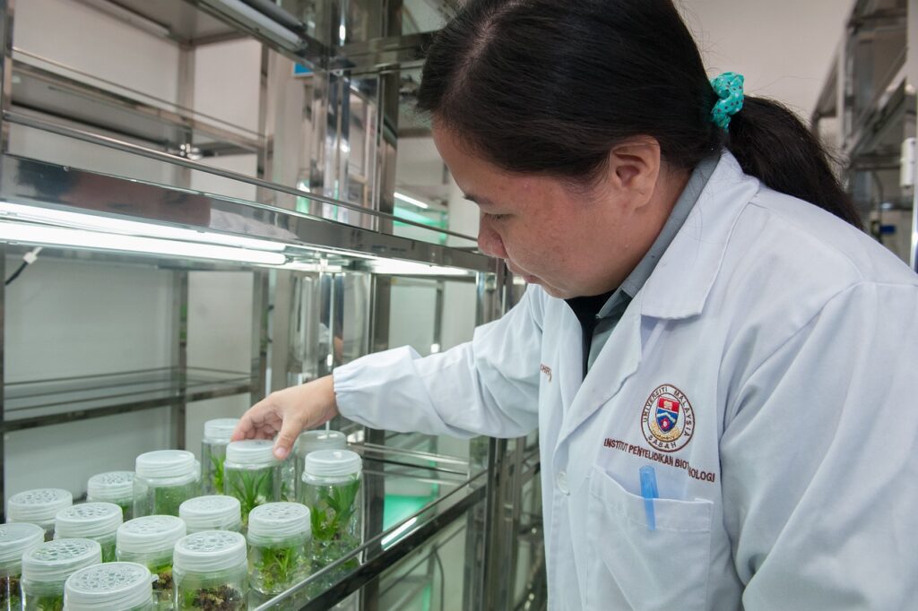 plant tissue culture facility, biotechnology research institute, universiti malaysia sabah-2223463.jpg